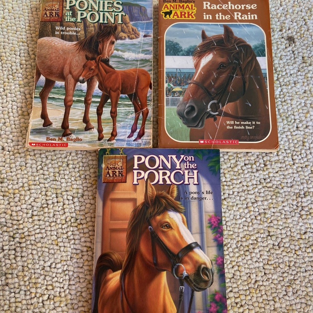 Animal Ark horse books elementary school chapter books